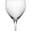 Serax INKU By Sergio Herman Champagneglas 200 Ml Glas -Keukenproducten Winkel b0820006 1