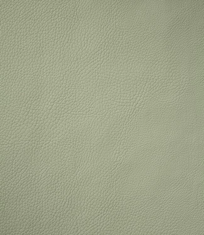 Finesse Monaco XL Placemat 35 X 48 Cm Kunstleer Green Tea 4 Finesse Monaco XL Placemat 35 X 48 Cm Kunstleer Green Tea - Afbeelding 2