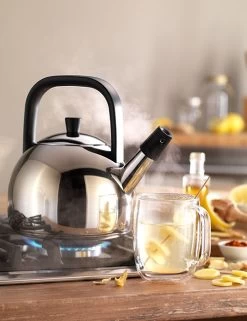 Zwilling Plus Fluitketel Rond 1,6 Liter Rvs -Keukenproducten Winkel zwilling plus fluitketel rond 1 5 liter rvs